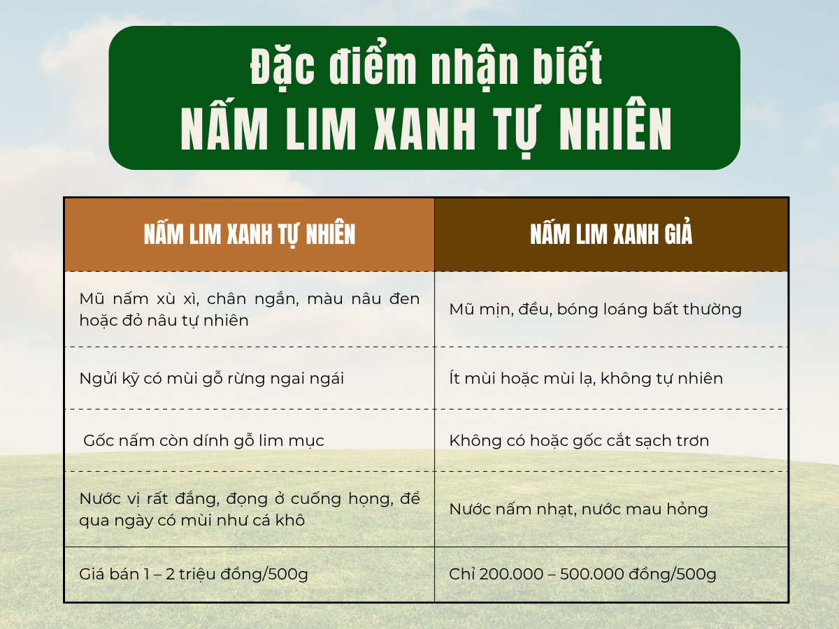 giá nấm lim xanh